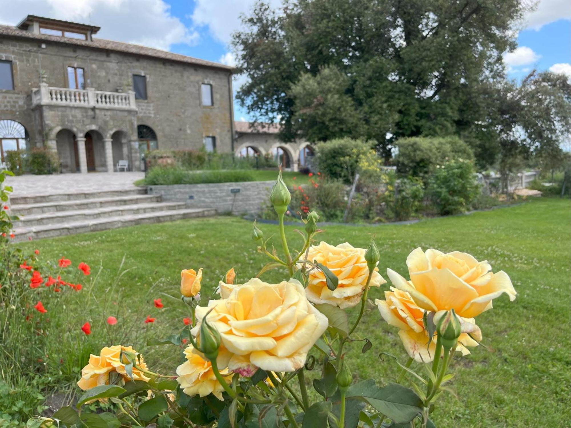 Villa Paladini Montefiascone Exterior photo