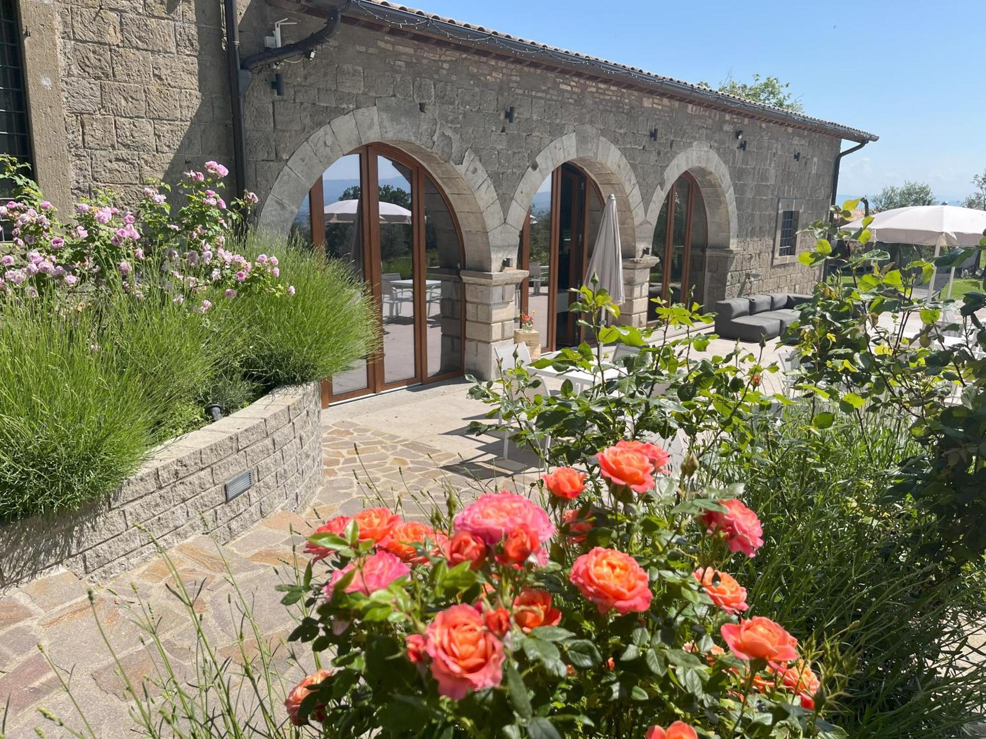 Villa Paladini Montefiascone Exterior photo