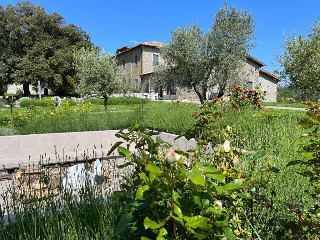 Villa Paladini Montefiascone Exterior photo